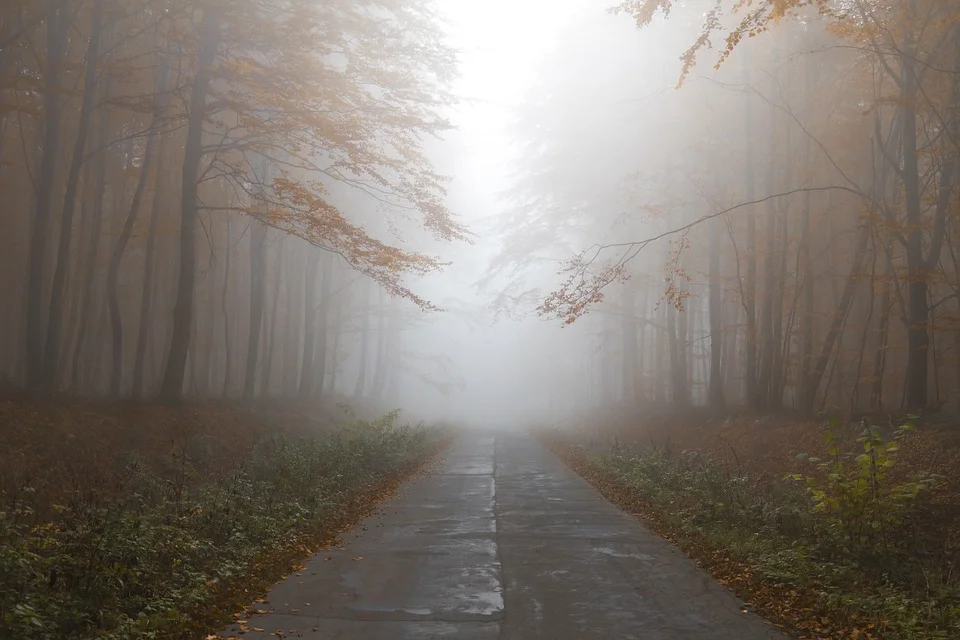 never ending path.jpeg