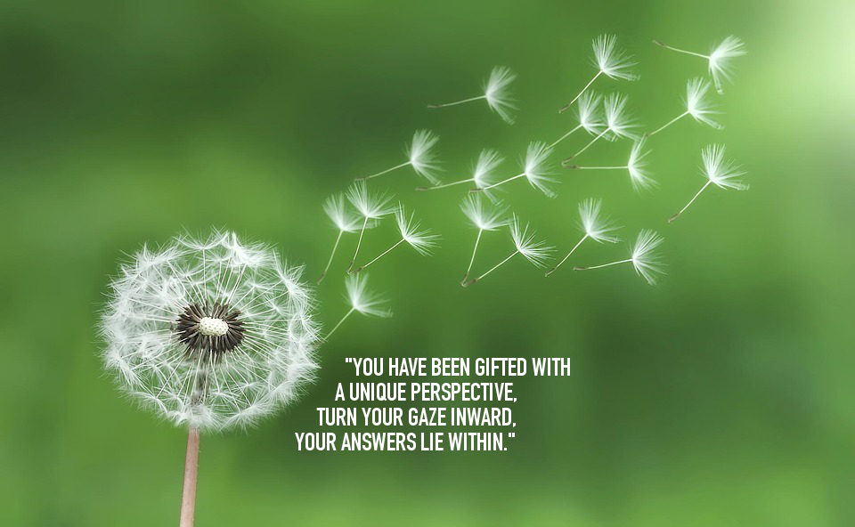dandelion.jpeg