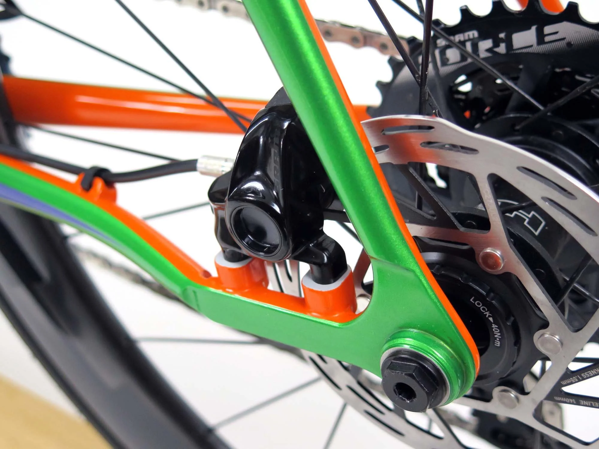 The orange and green two-tone mimics the tree frog’s markings.   