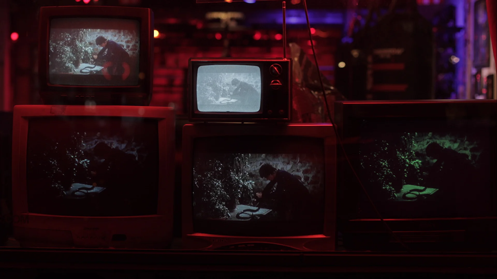 Sequence 01.00_00_15_03.Still005.jpg