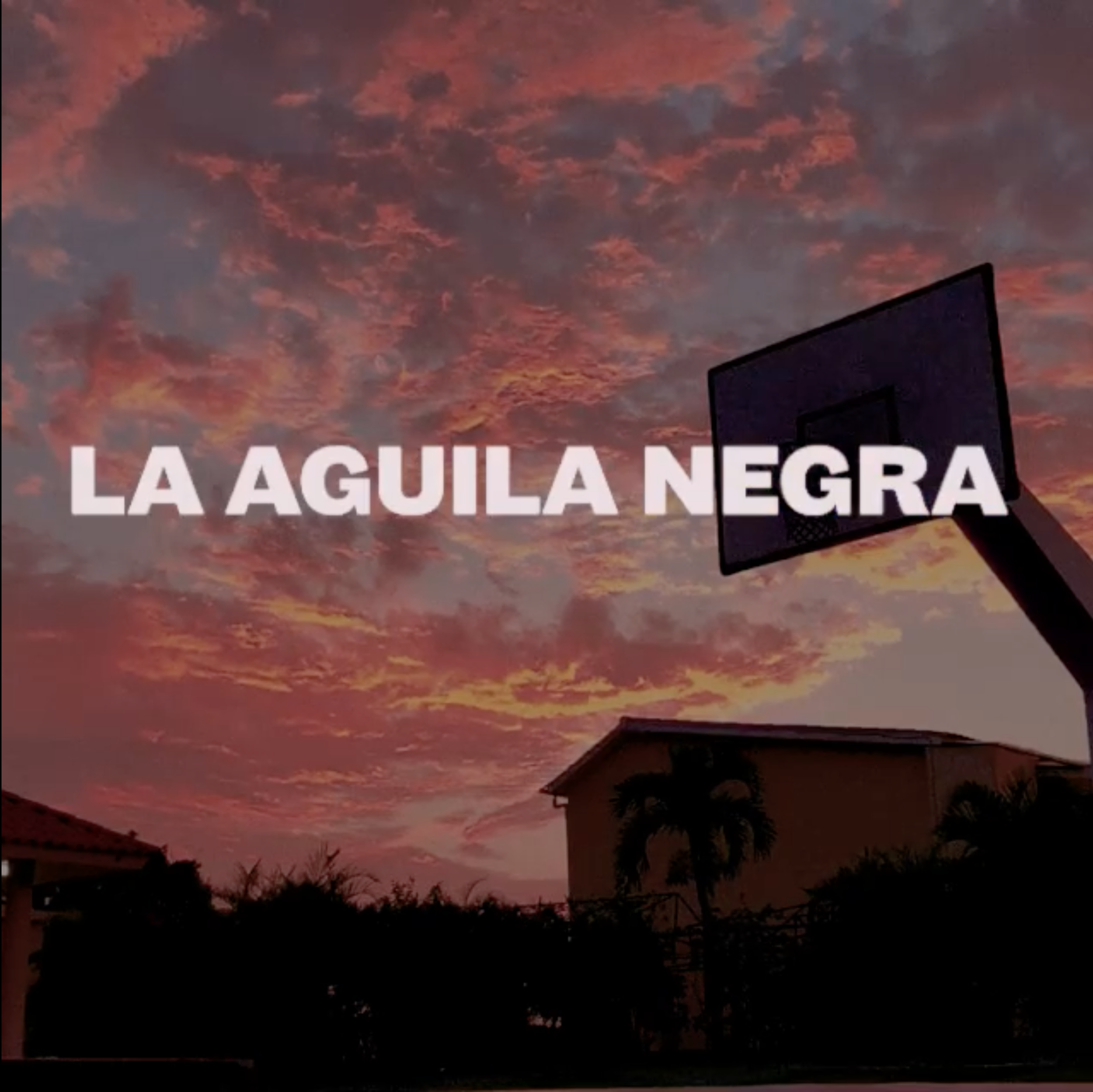 Screen Shot 2020-01-12 at 5.21.16 PM.png