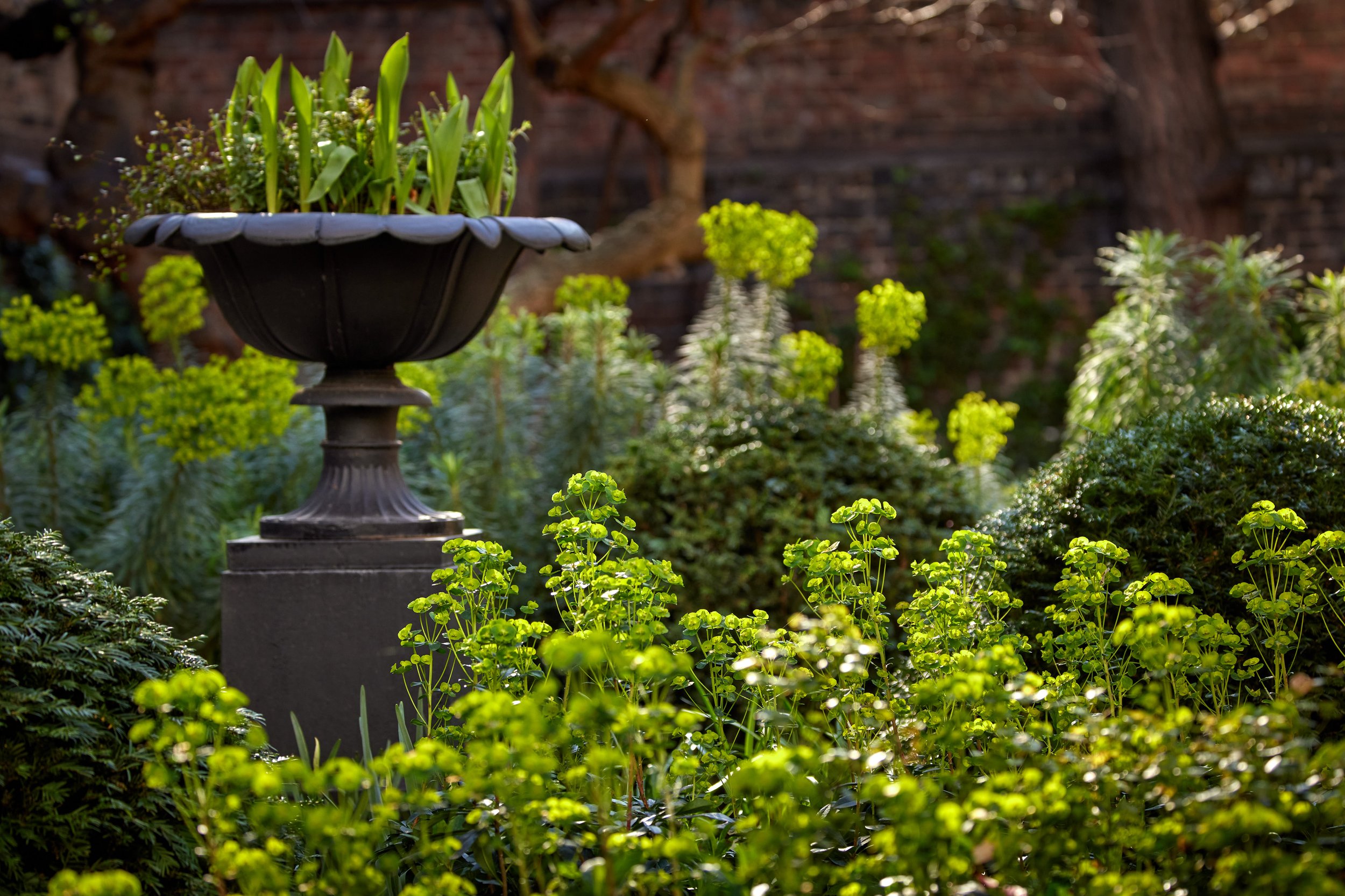 Urn_planters_T1_6893.jpg