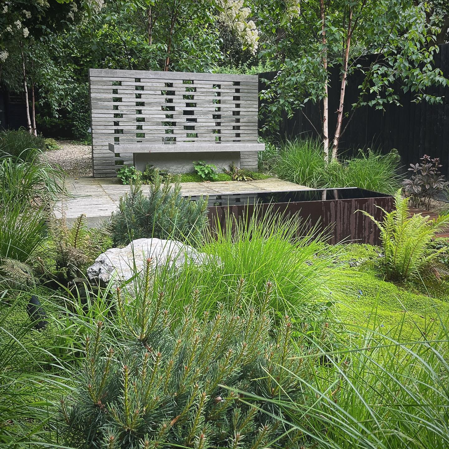 Looking lush in our Peckham project with @neildusheikoarchitects 

Great to see the planting really establishing in its first full season of growth 

Landscape contractor: @hortusbuild 
Subcontractor: @breffni_mcgeough 
Metal fabricator: @surreyironc