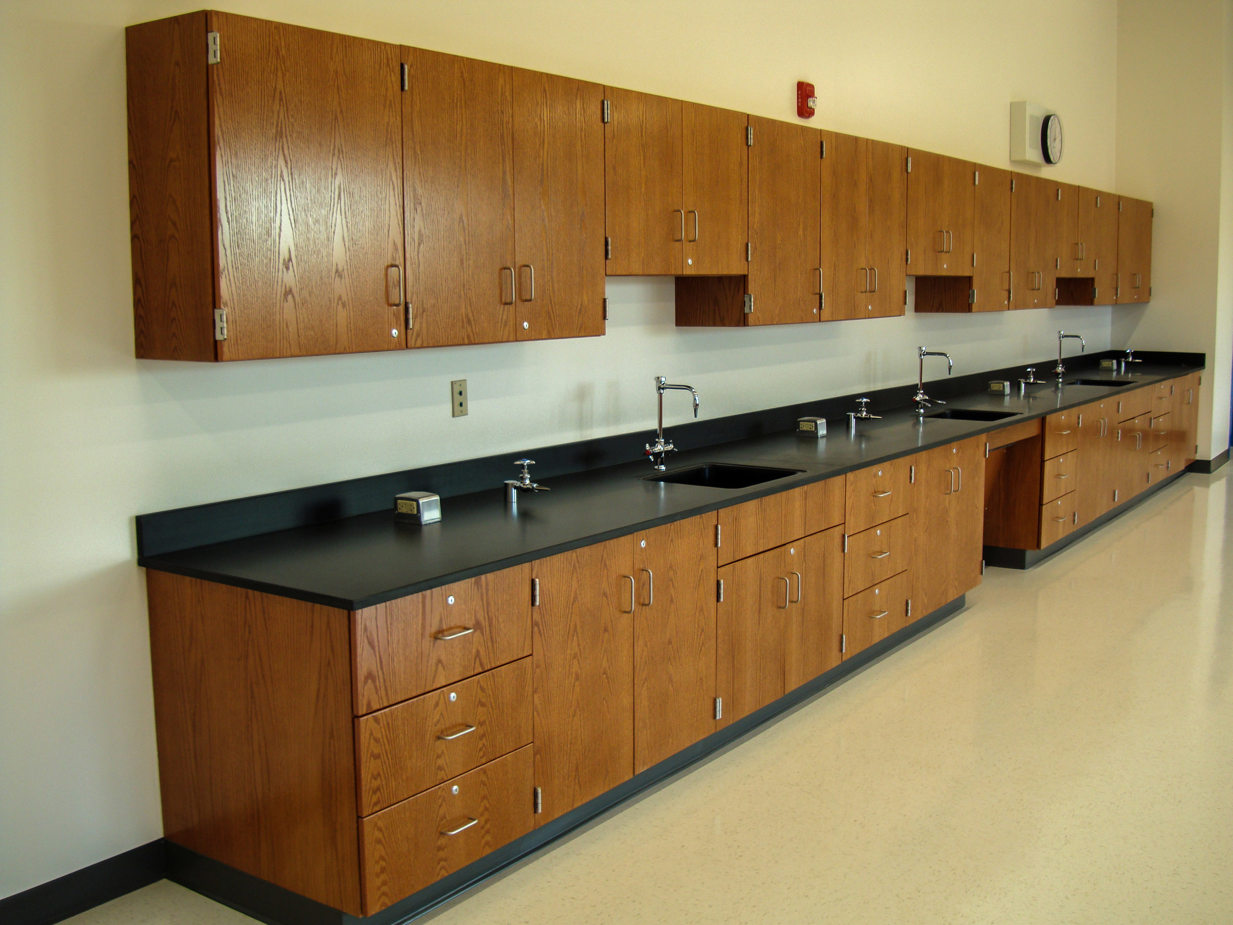 Chemical Resistant Oak Casework with Epoxy Countertops