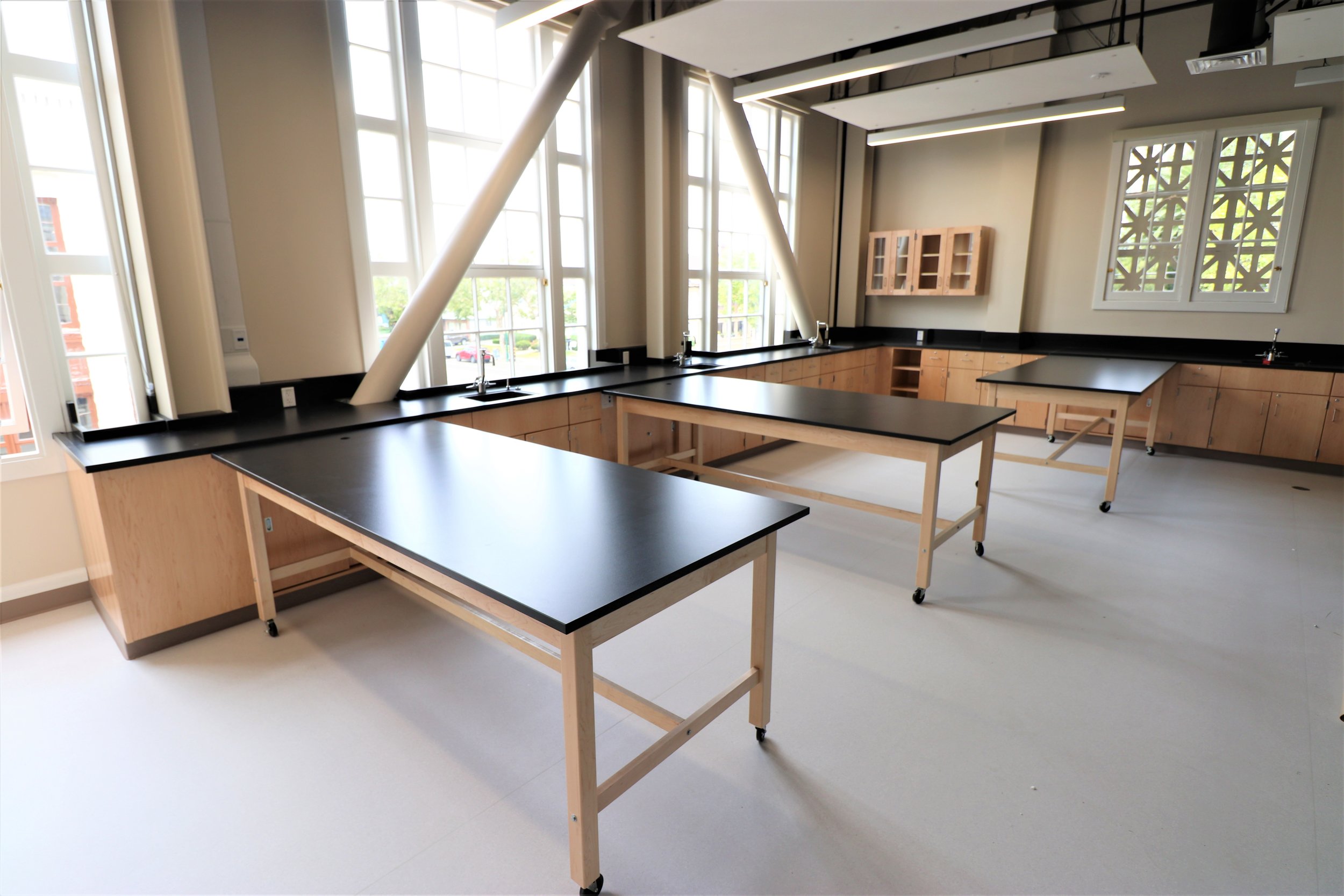 Chemical Resistant Maple Casework with Epoxy Countertops