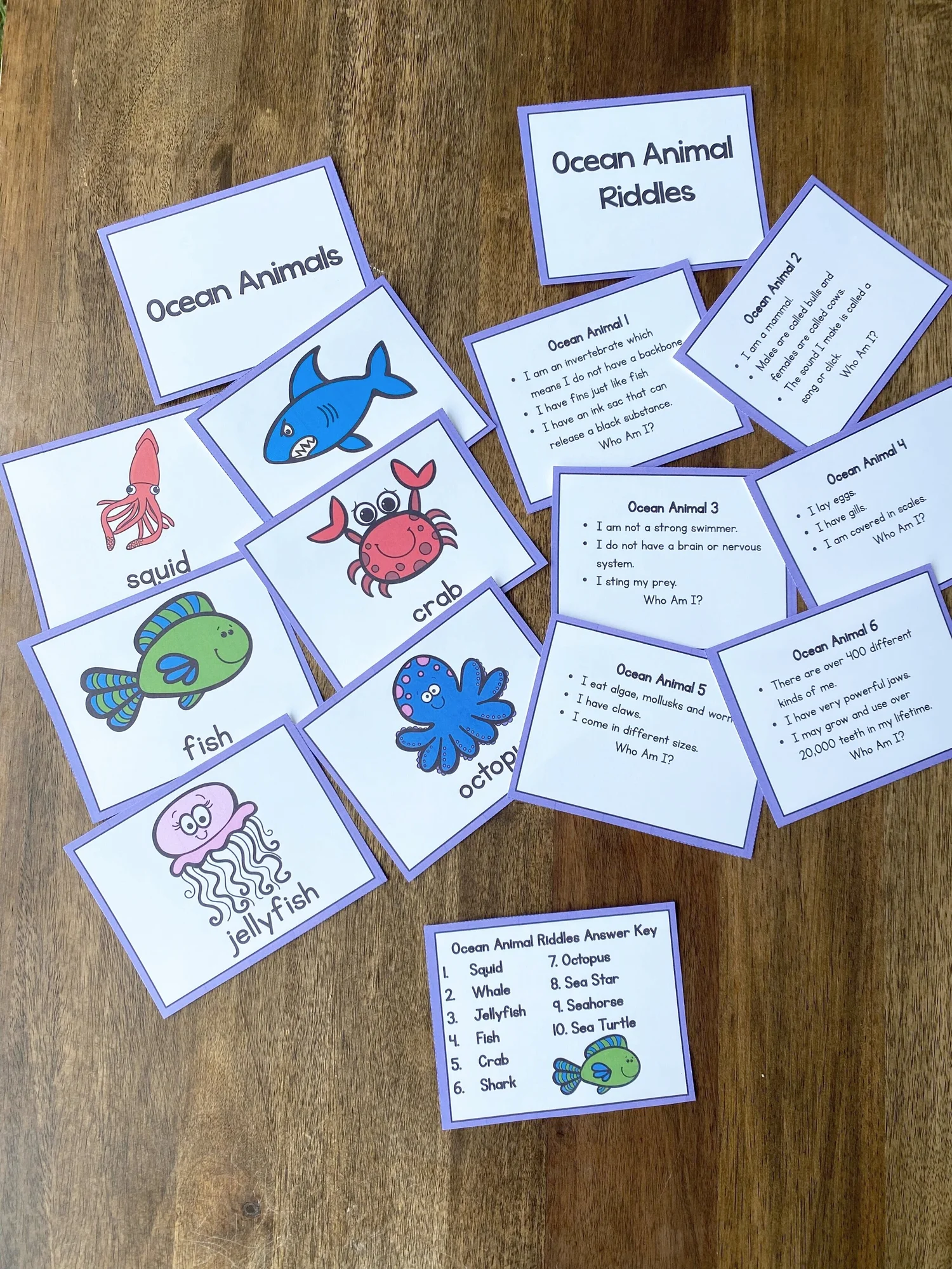 🐙🐋🐠 Ocean Animals — Cub Collective
