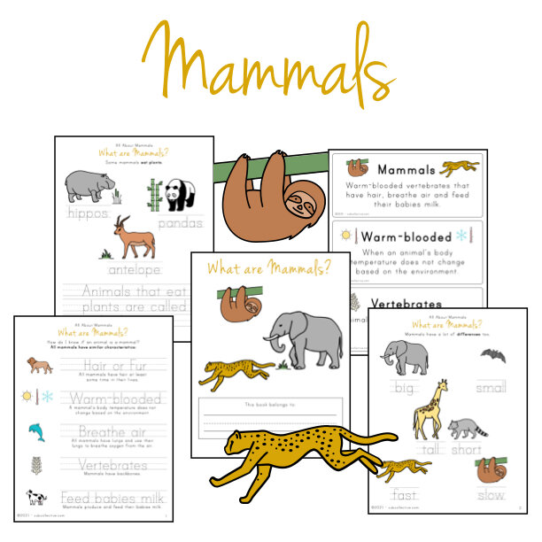🦒🐋🐒 Mammals — Cub Collective