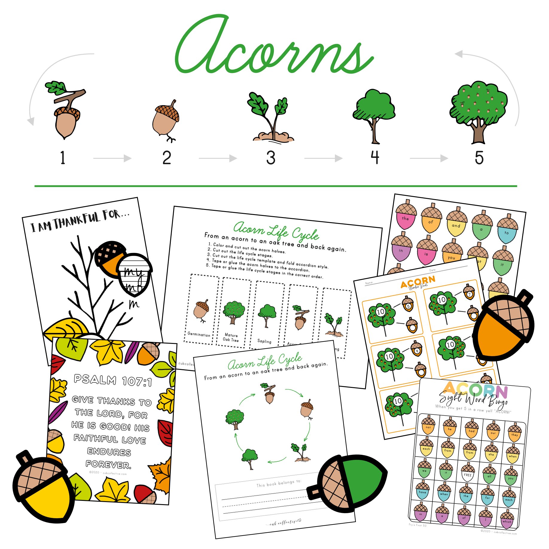 Acorns Unit Study Lesson Plan