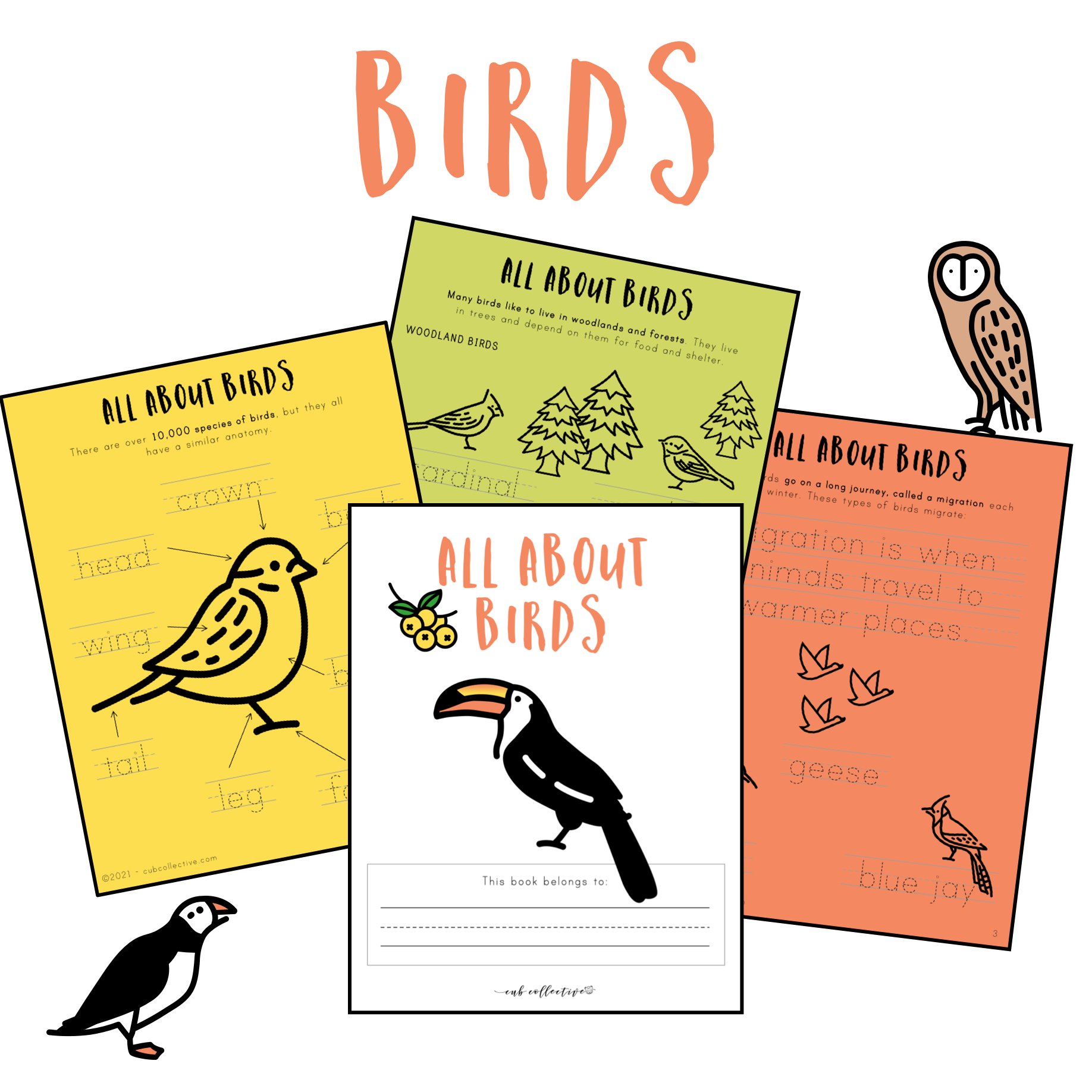 Bird Unit Study Lesson Plan