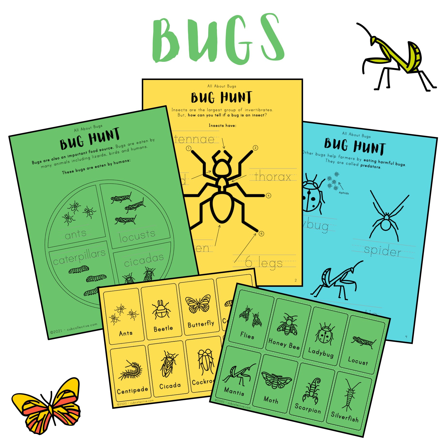 Bugs Lesson Plan