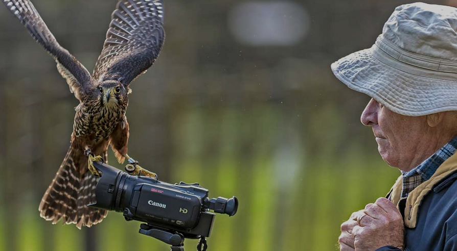 VIDEO COPY: For brands like  Canon  and  Bayleys