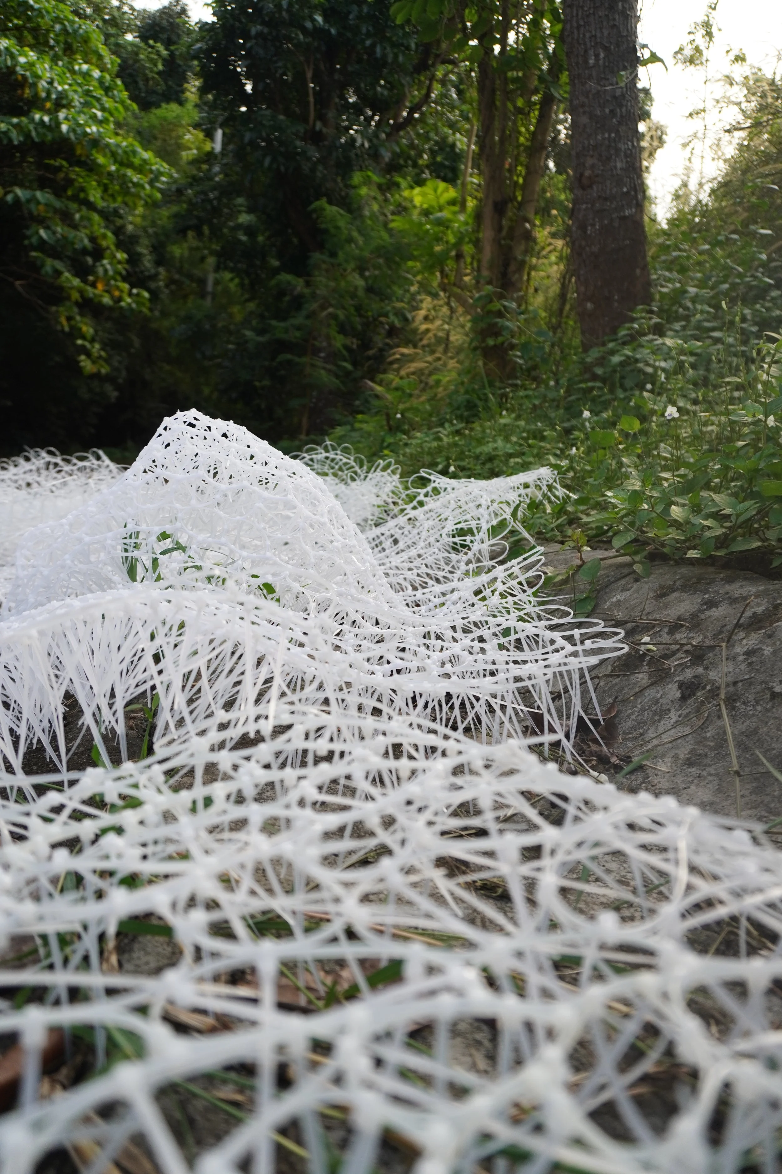 Vast when you'd expect insular, Zip Ties, 70 sqm, 2026