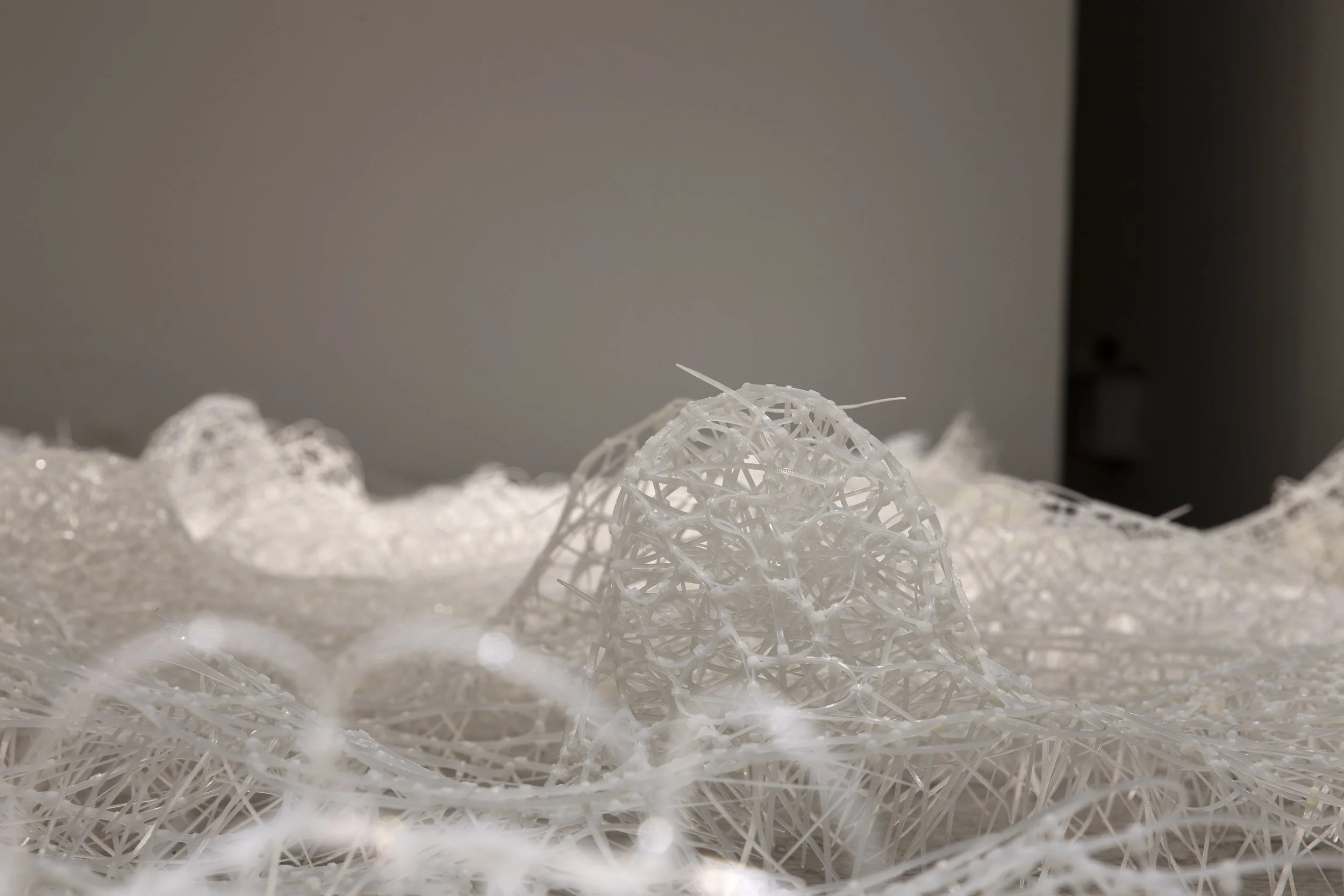 Vast when you'd expect insular, Zip Ties, 70 sqm, 2026