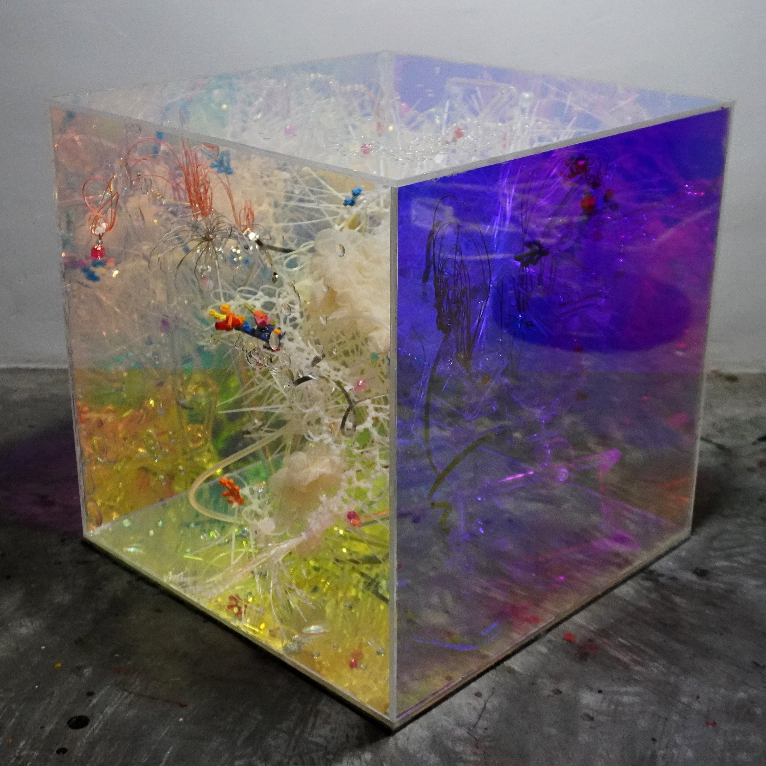 one step inside doesn't mean I'm yours
40 x 40 x 40 cm
Mixed Media
2026