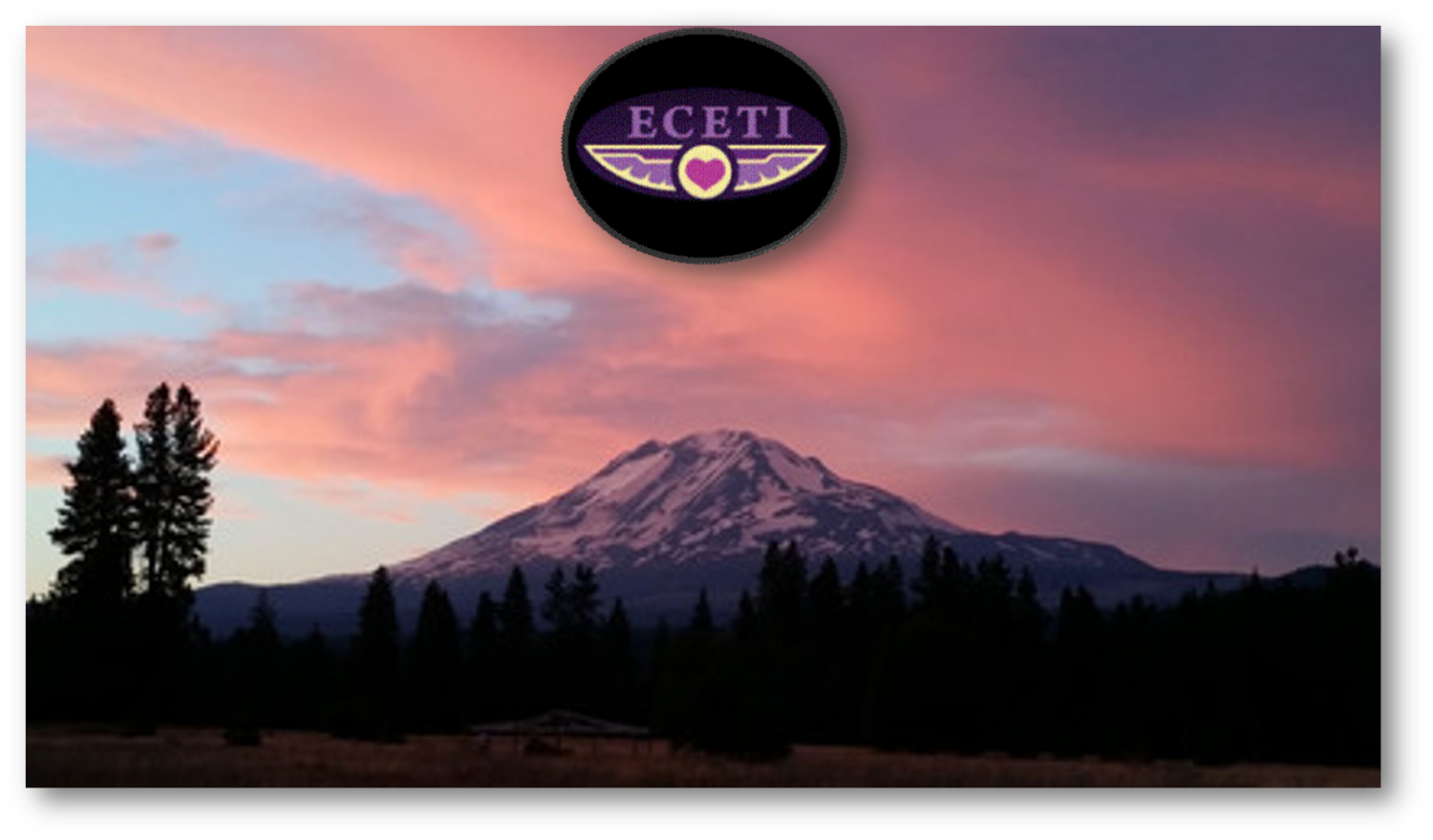 ECETI.png