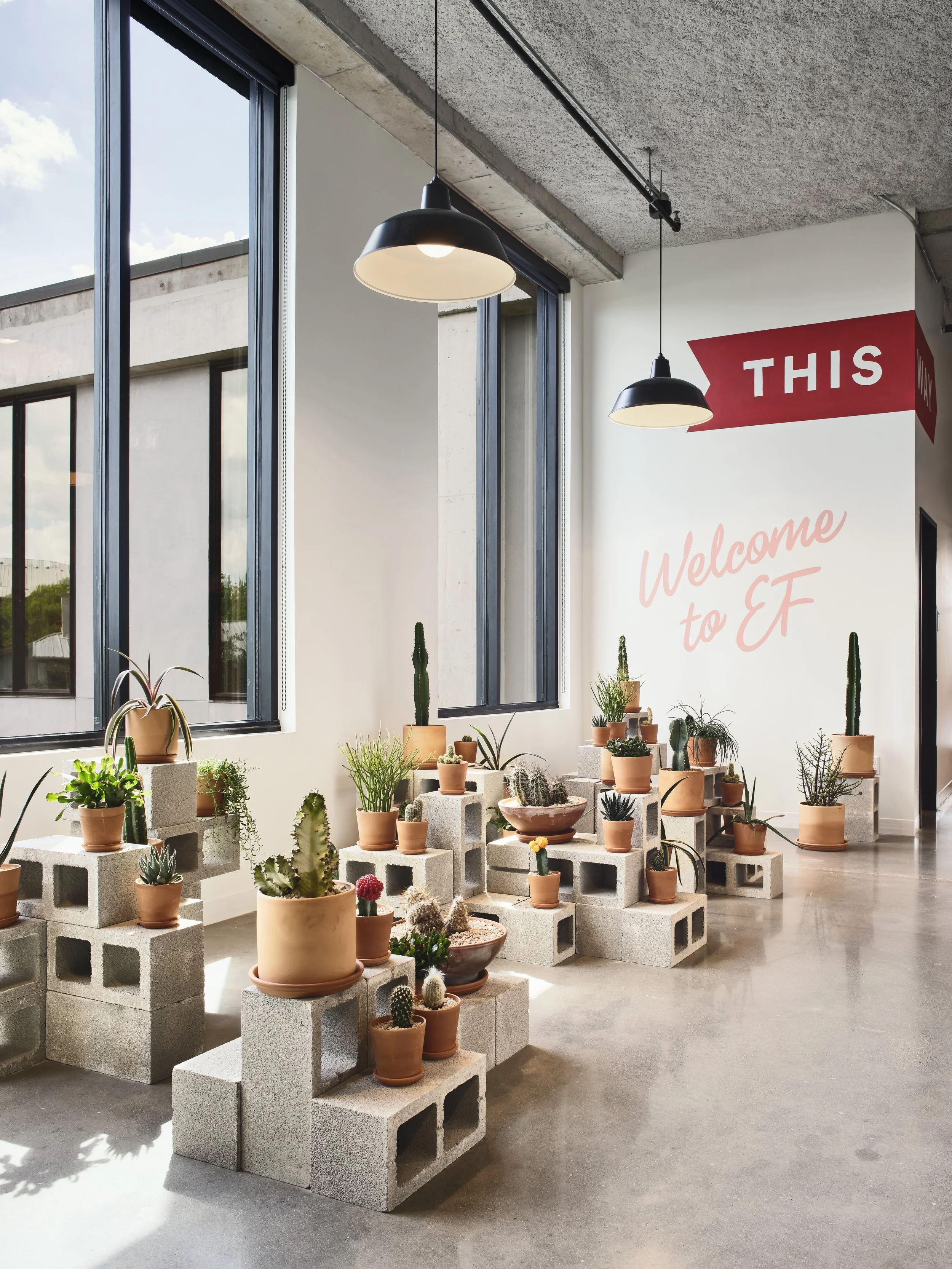 AUSTIN LOBBY PLANTS.jpg