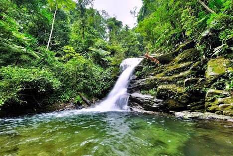 WhatsApp Image 2017-12-waterfall16 at 6.13.11 PM.jpeg