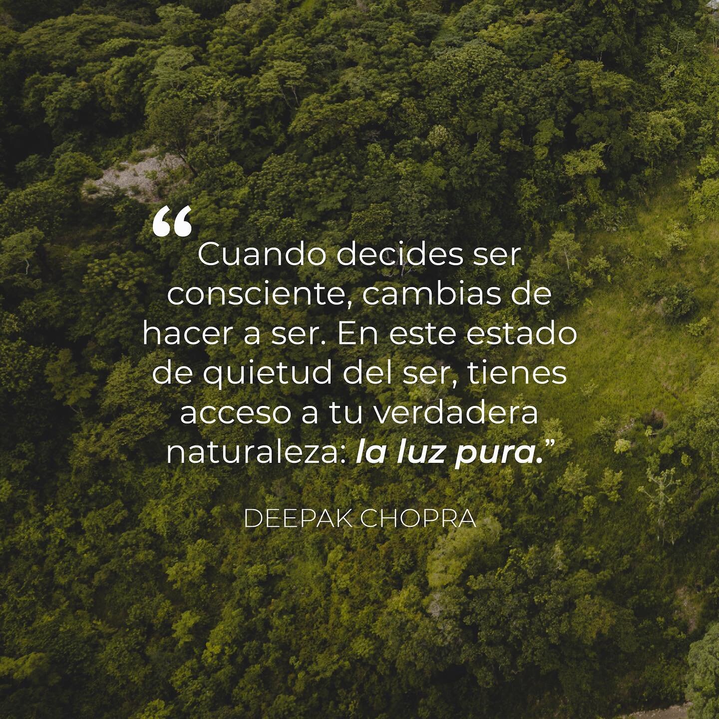 Nueva semana, nuevos retos y nuevos descubrimientos ✨

Honrando al maestro @deepakchopra 

&iquest;C&oacute;mo encontr&aacute;s vos tu luz propia? &iquest;Est&aacute;s siendo consciente de tu verdadera naturaleza? 🍃