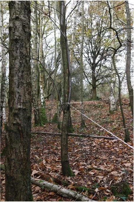   Flimwell Woods / Bartlett UCL MA Landscape 2022    Workshop Collaborator: Thomas Kendall, with support and thanks to Tom Budd, Steve Johnson, The Architecture Ensemble, Tim Waterman and the Flimwell Park team   How lost do you find the woods? We sp