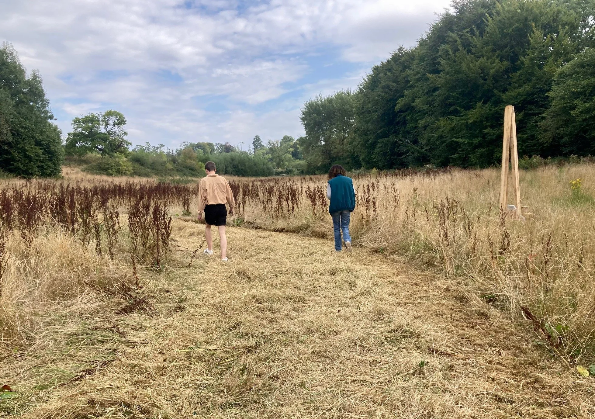     Drawing Matter Summer School, Shatwell Farm    Workshop Collaborators: Andrew Clancey and the drawing team, Drawing Matter Trust   “I’ve got you a present,” said Niall. A field, a 3m wide lawn-mower pulled by a tractor, 45 AS/A-Level students and
