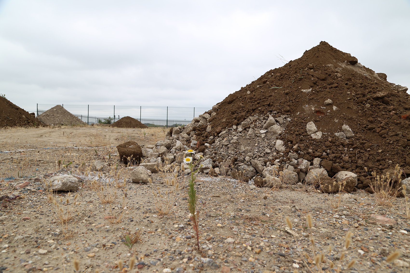 Periscope_Stockpile Garden_05.JPG