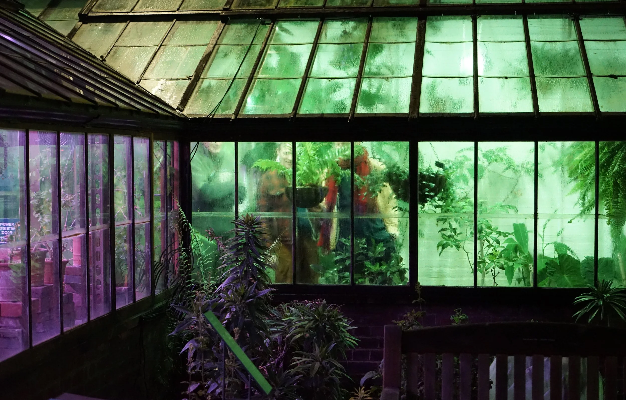  The ideologies of queer ecology open to variations and nuances beyond scientific categorization, ingrained societal norms and fixed structures. They embrace fluidity and interspecies empathy by acknowledging alternative forms of gender and connectio