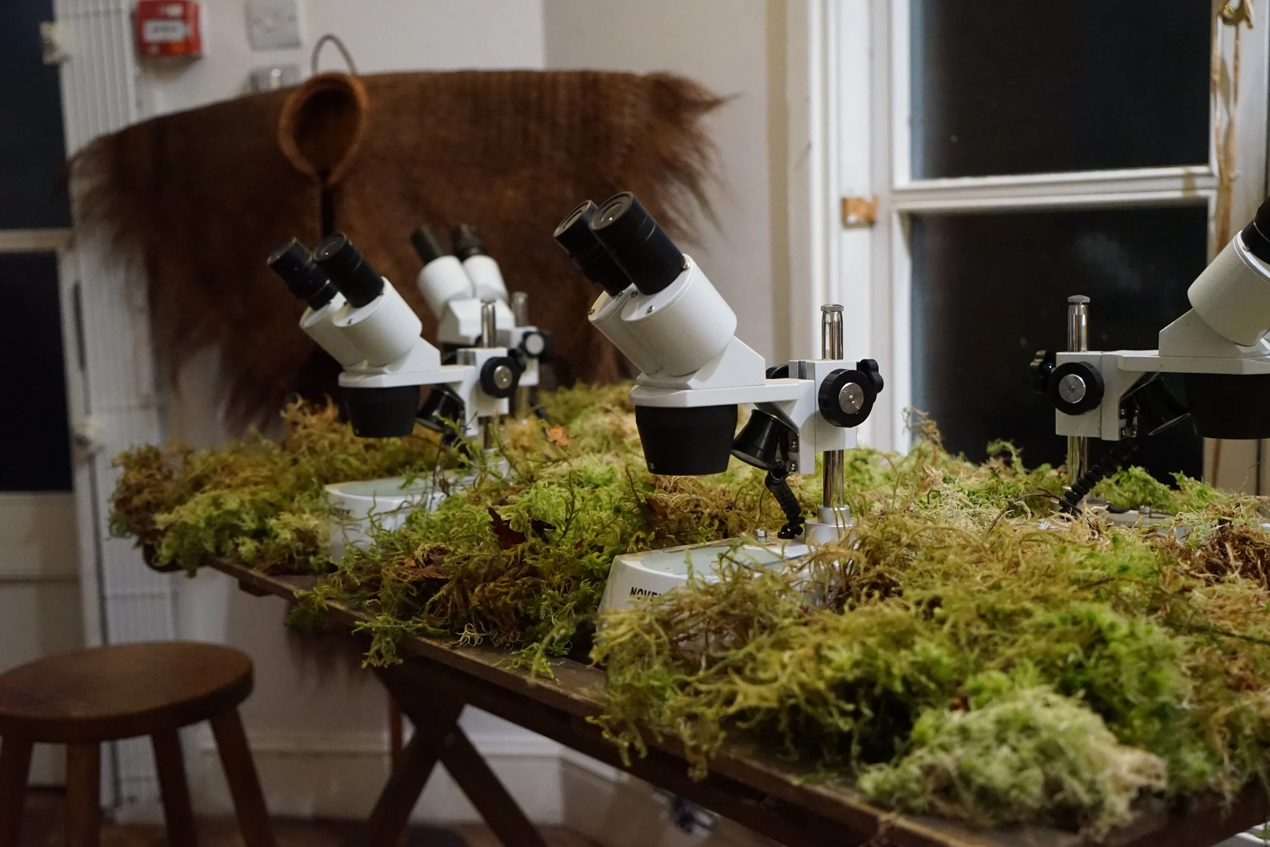 06_Myths_Mosses_Kirsty Badenoch.JPG