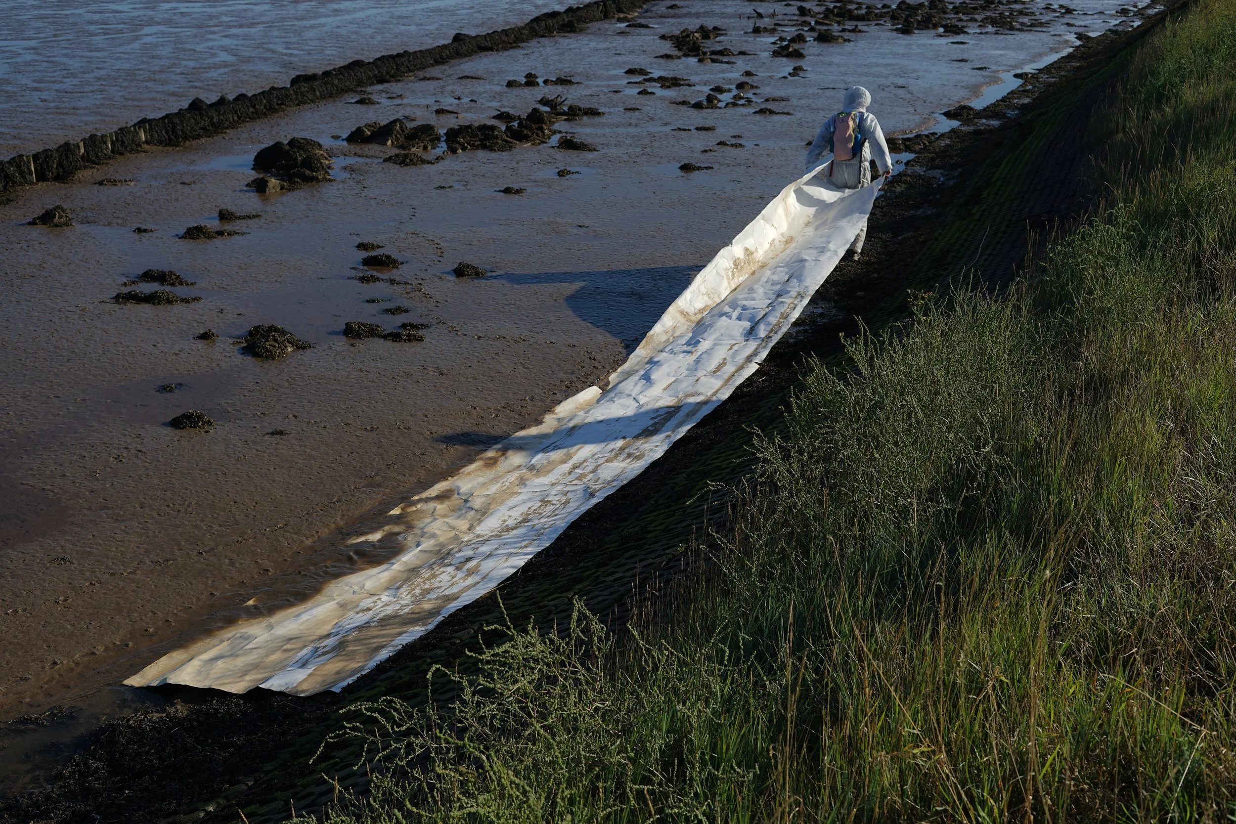  Spatial Ecologies is a three-year running collaborative research project and summer school that invites tutors and students from across disciplines to field-test new environmental practices in response to ecological change and the climate crisis.  A