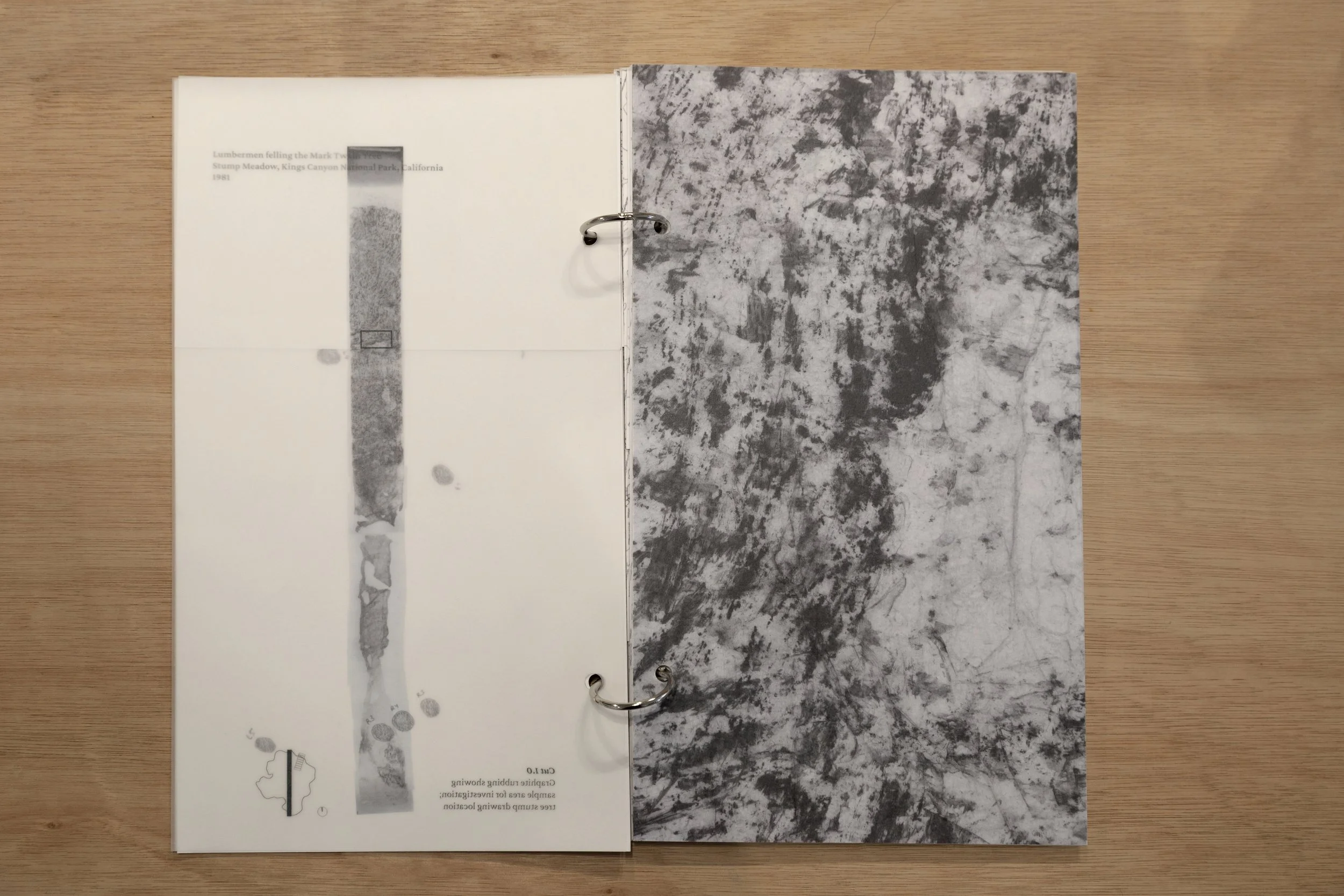 Kirsty Badenoch_To Remember a Forest01.JPG