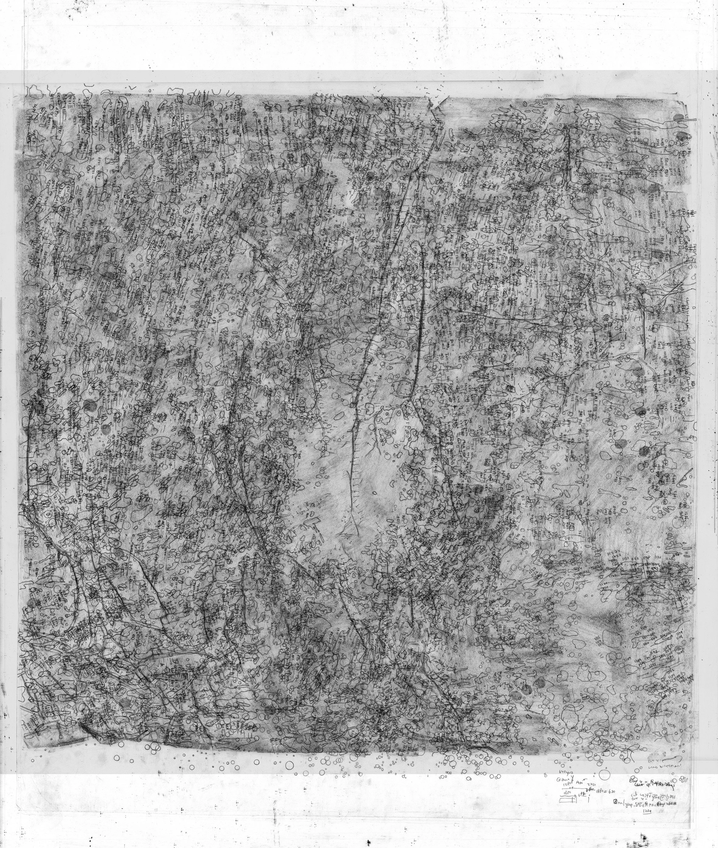    To Dismember a Tree, to Remember a Forest    is part of a PhD research at The Bartlett School of Architecture UCL. The works were exhibited at Oriel Canfas, Cardiff as part of    Second Site   , in February 2025.   In indigenous thinking the oppos