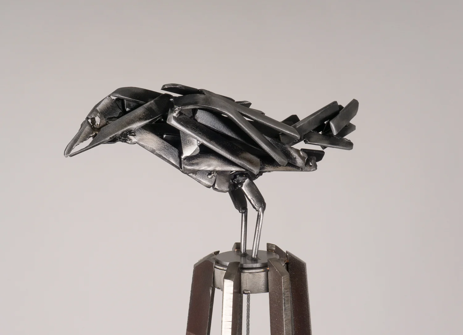 Raven's View (detail)
