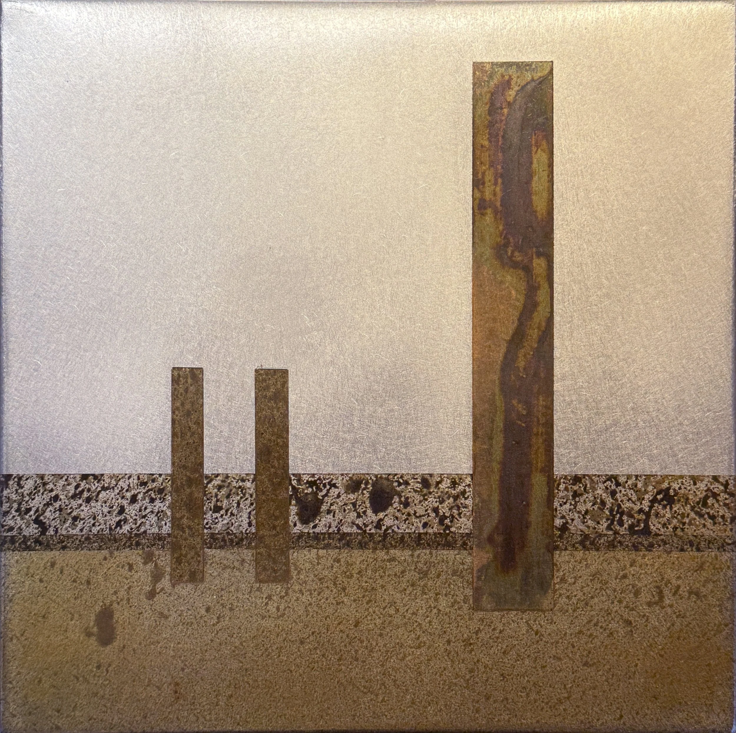 New Mexico Series #25