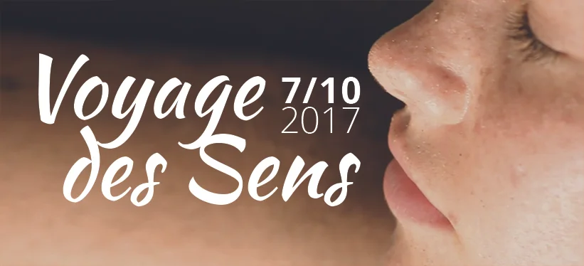 VoyageDesSens.jpg