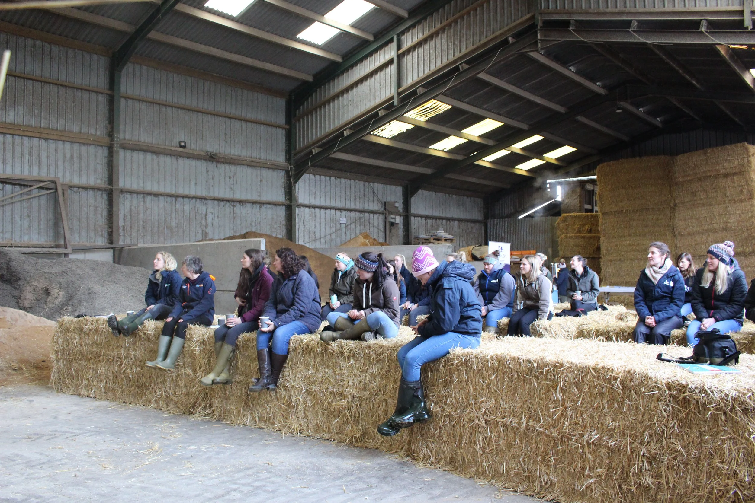 How calving at 22-months-old is saving a Cheshire dairy herd £270 a heifer