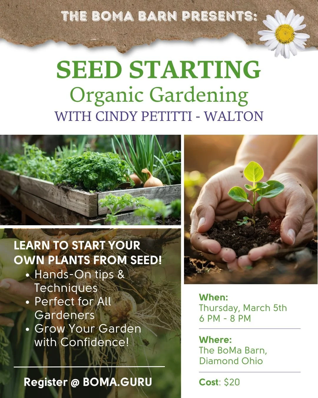 Seed Starting, Organic Gardening with Cindy Petitti - Walton