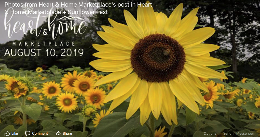 Screen Shot 2019-06-05 at 8.23.13 AM.png
