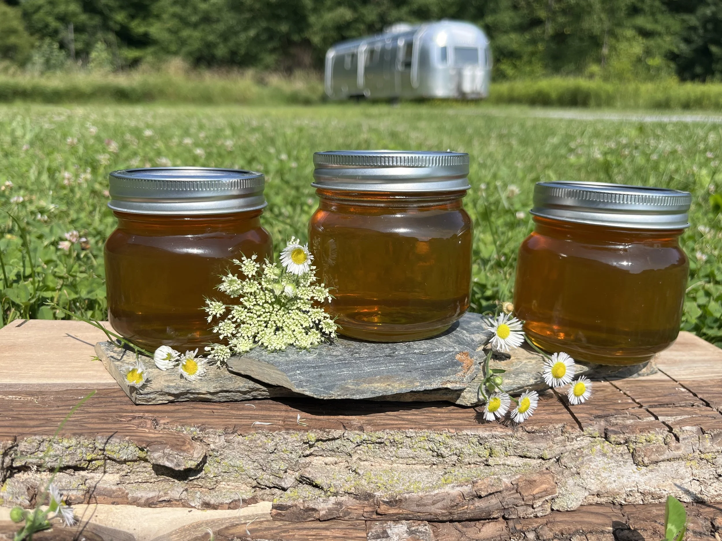 Raw Local Honey