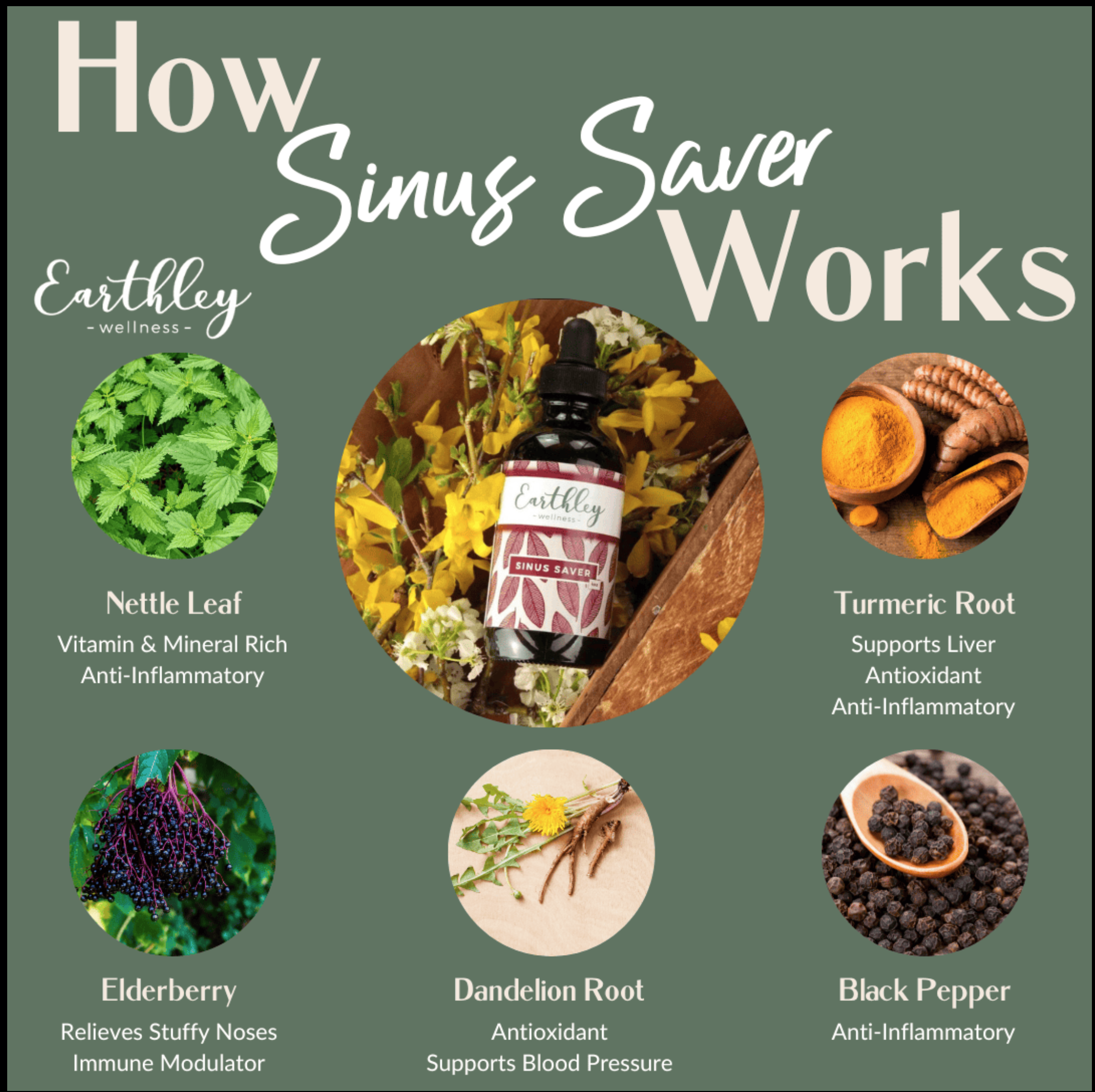 How sinus saver works.png