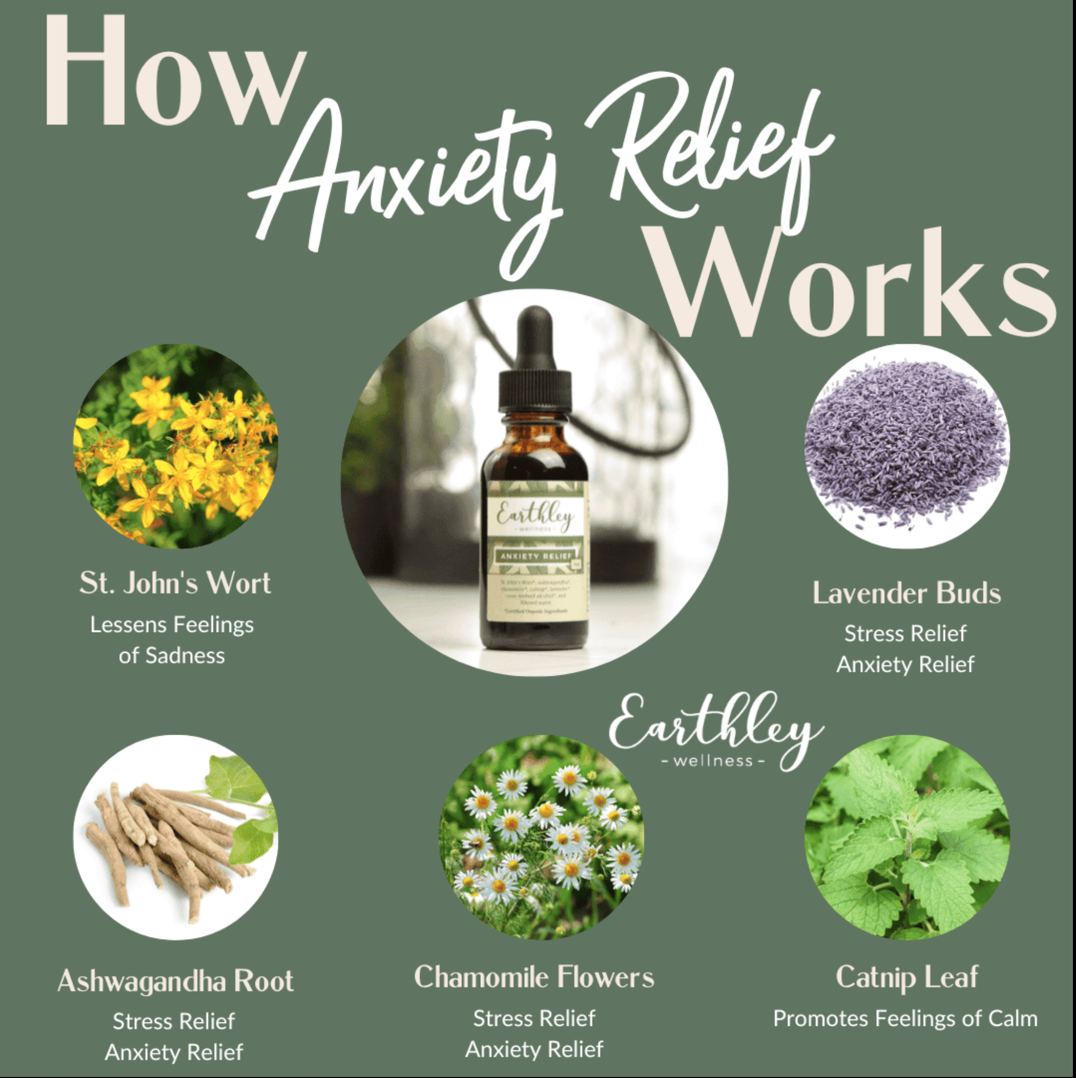 how anxiety relief works.png