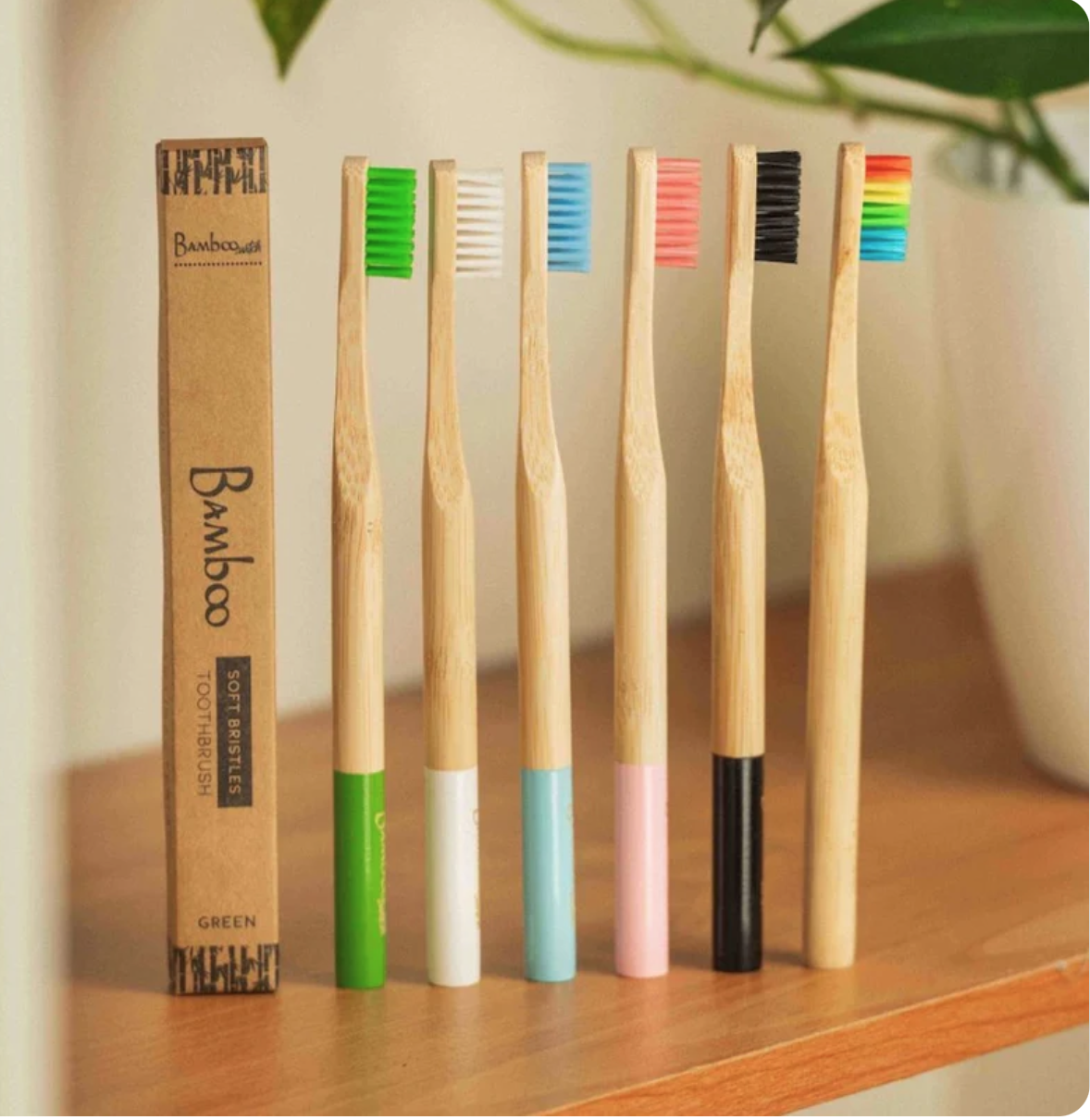 Bamboo Toothbrush Adult | Soft | Round Handle