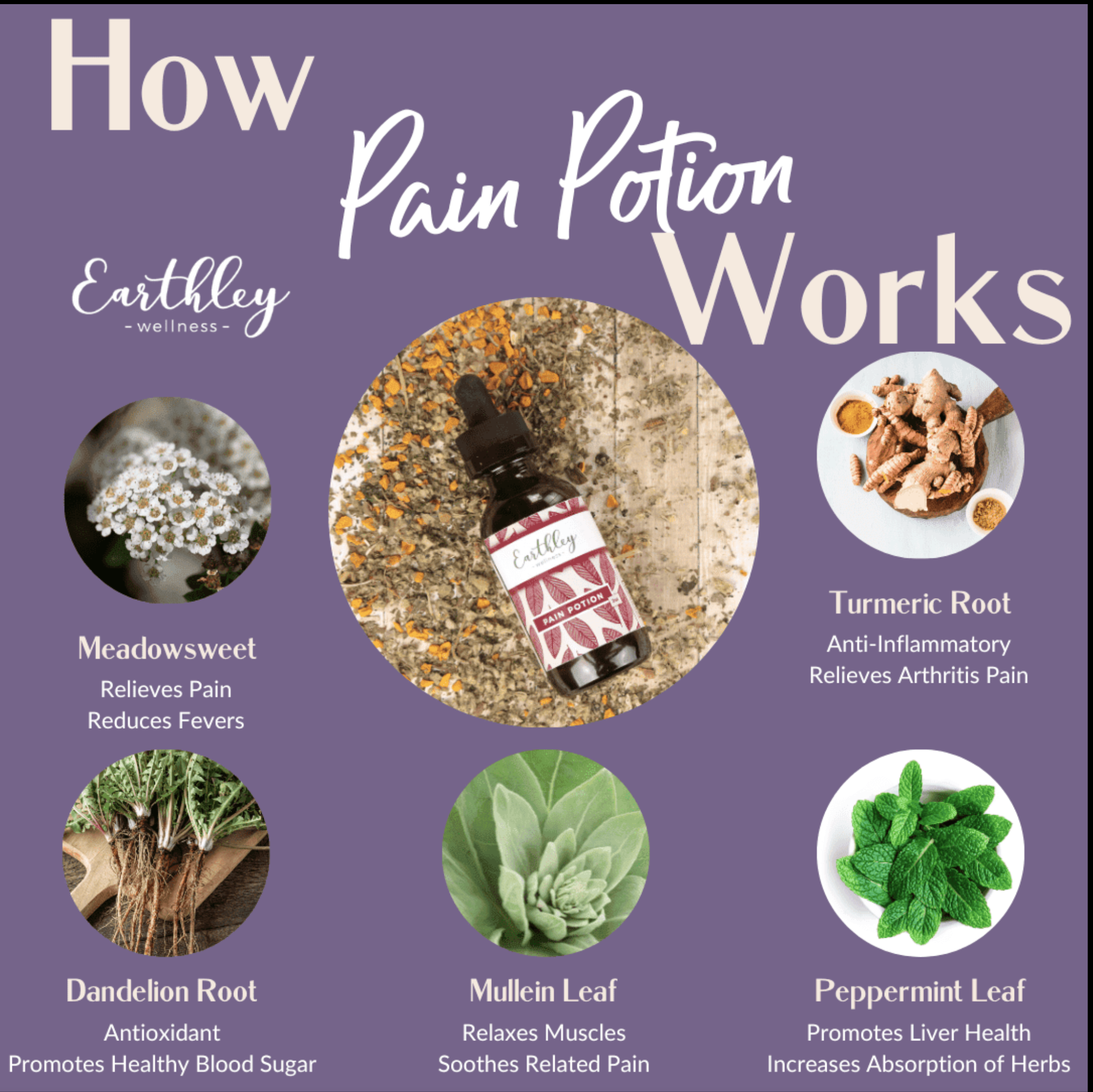 how pain potion works.png