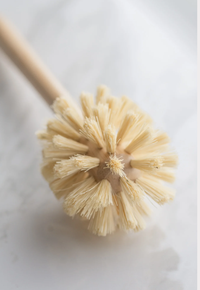 CASA AGAVE® Sphere Dish Brush - No Tox Life®