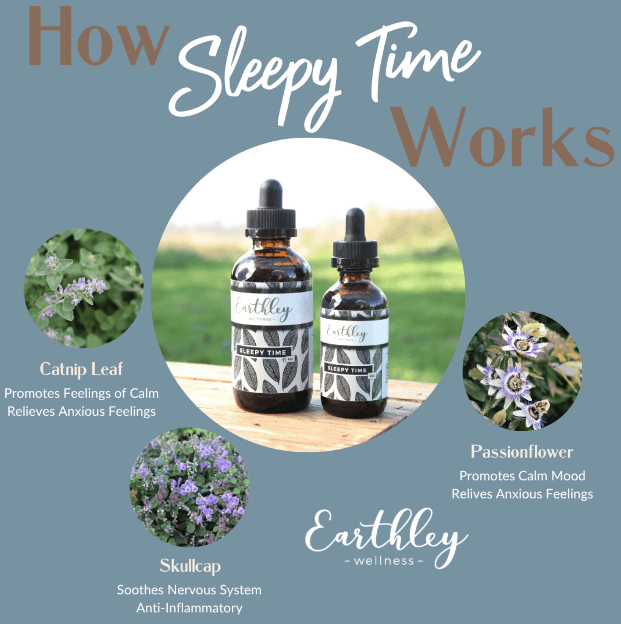 How sleepy time works.png