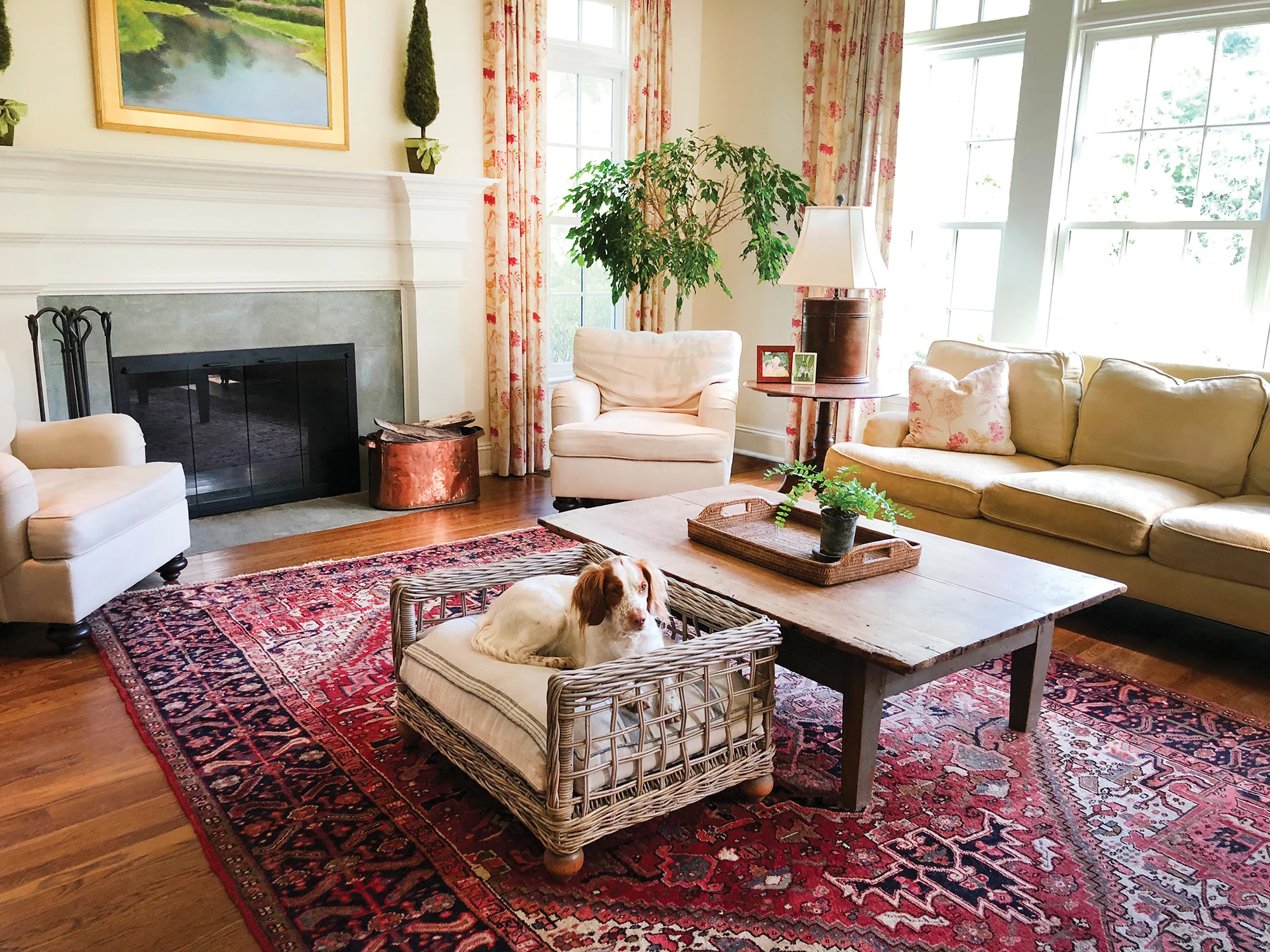 Neely's Nest – Bronson Dog Bed