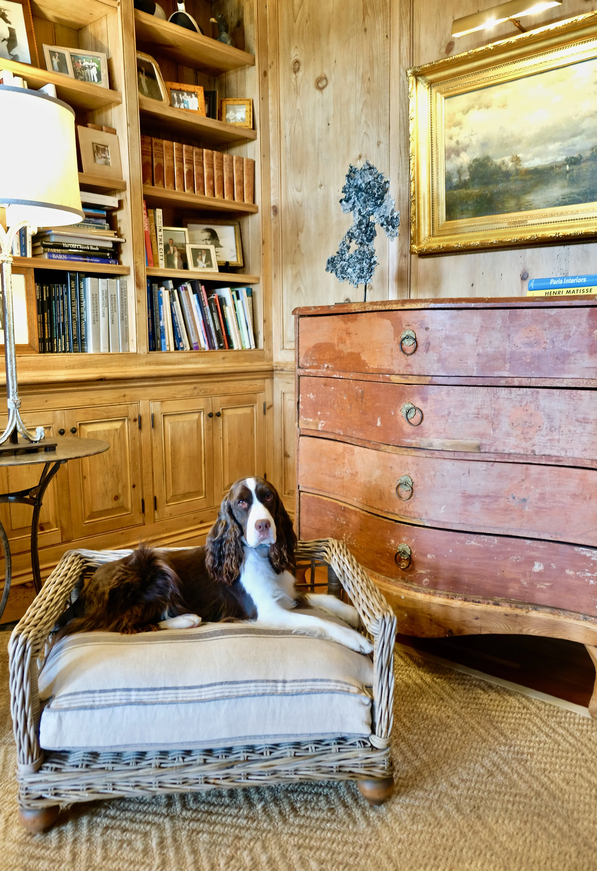 Neely's Nest – Bronson Dog Bed