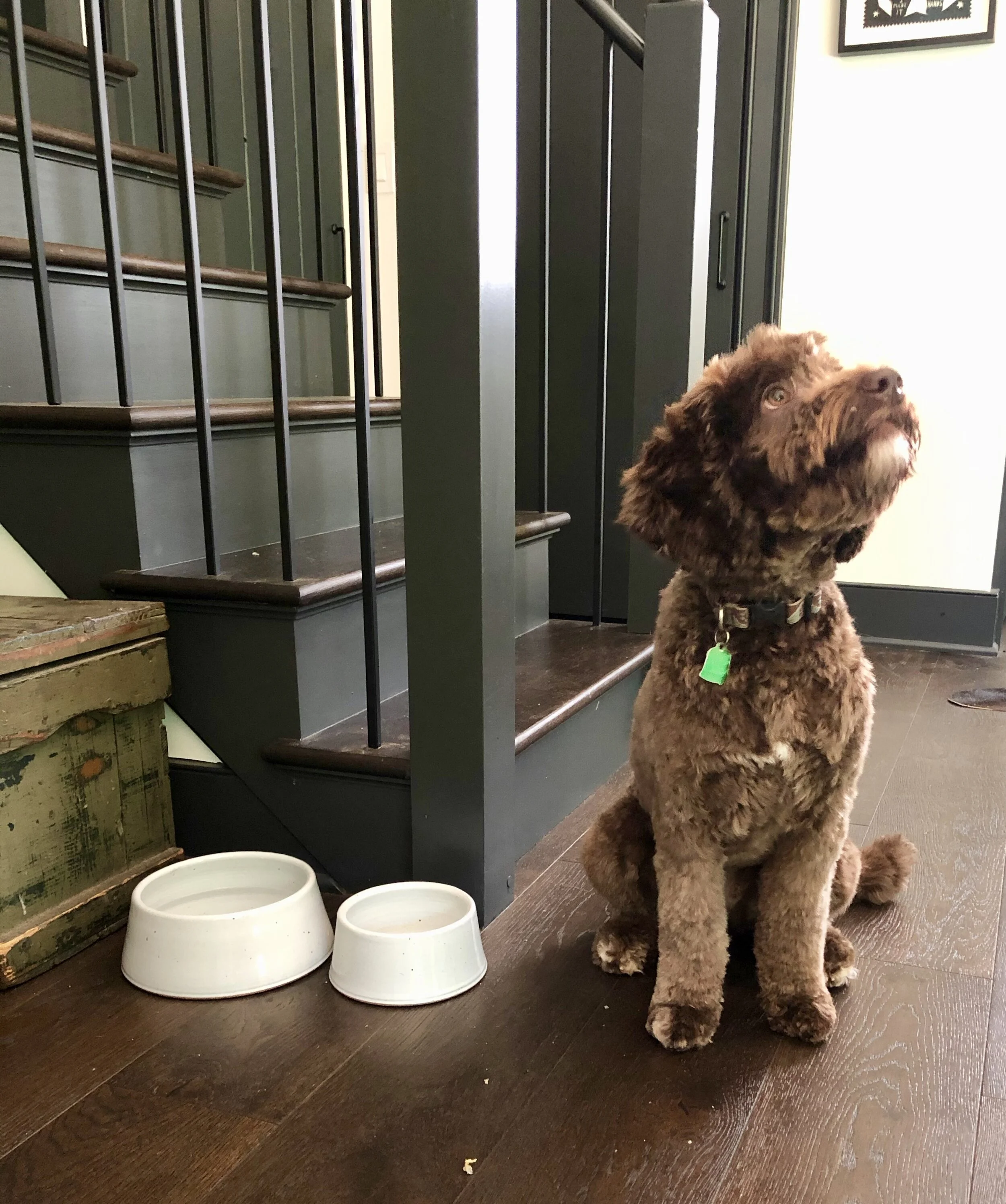 Handcrafted Dog Bowl