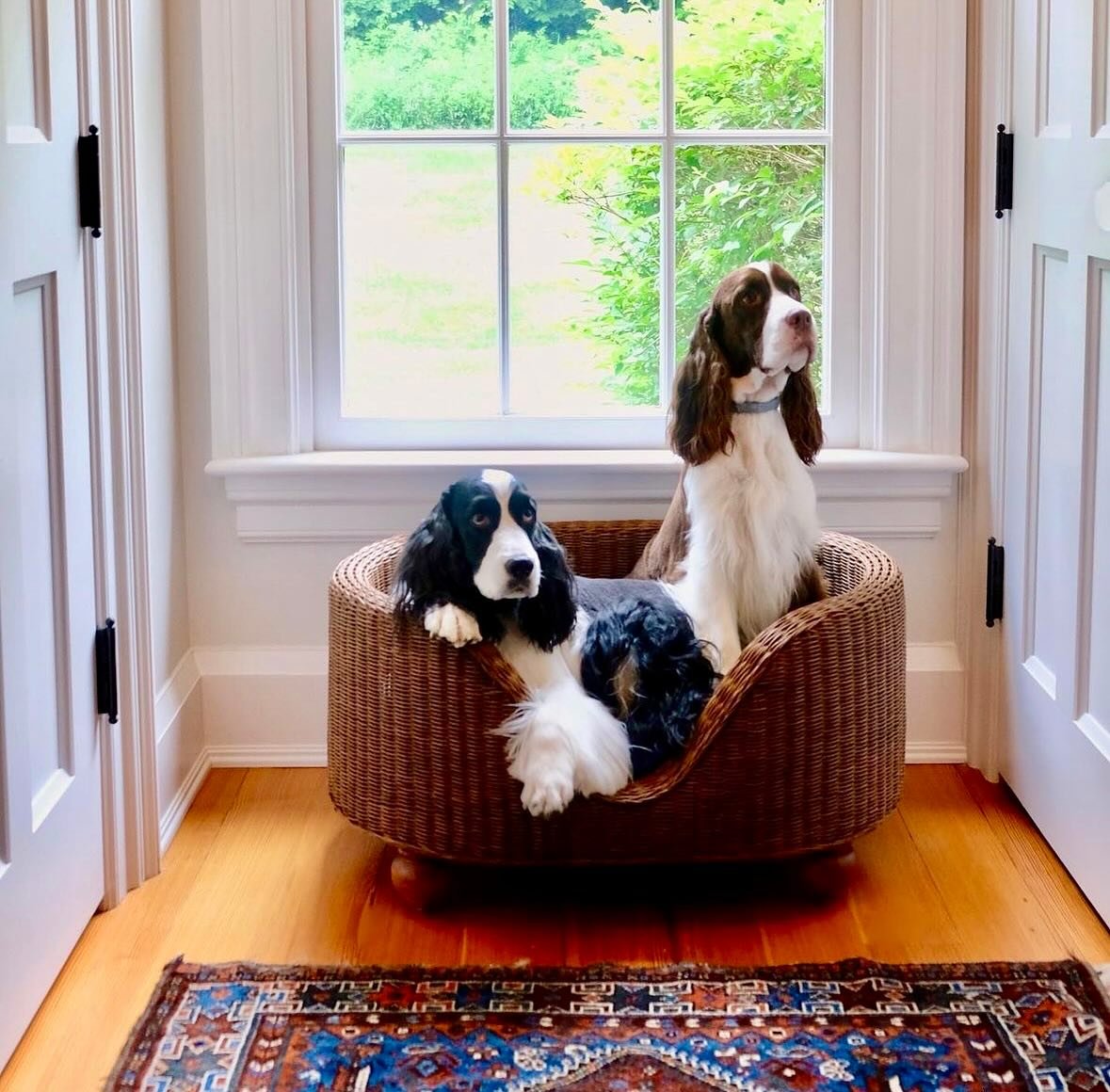 Carving out calm, cozy corners to curl up in is central to our dogs&rsquo; sense of well-being. Our Maggie dog bed is perfect for nestling into such nooks - an elegant yet snug retreat that proves the restorative power of stepping into a moment of bl