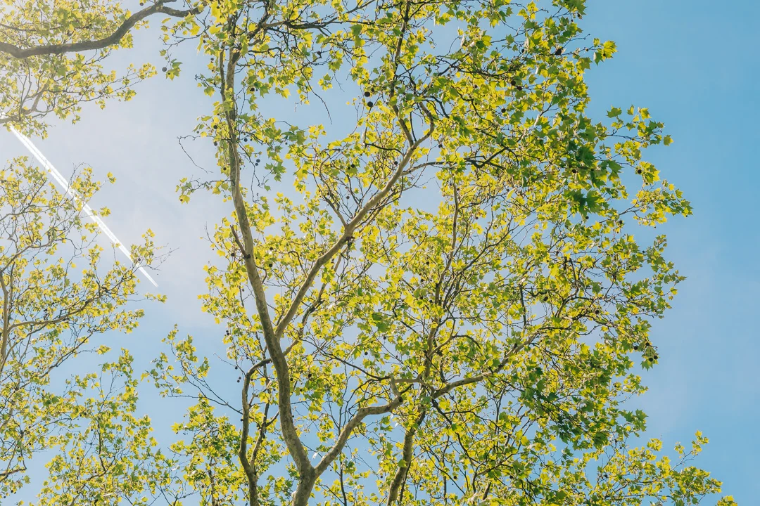 20190514-1R9A8687.jpg