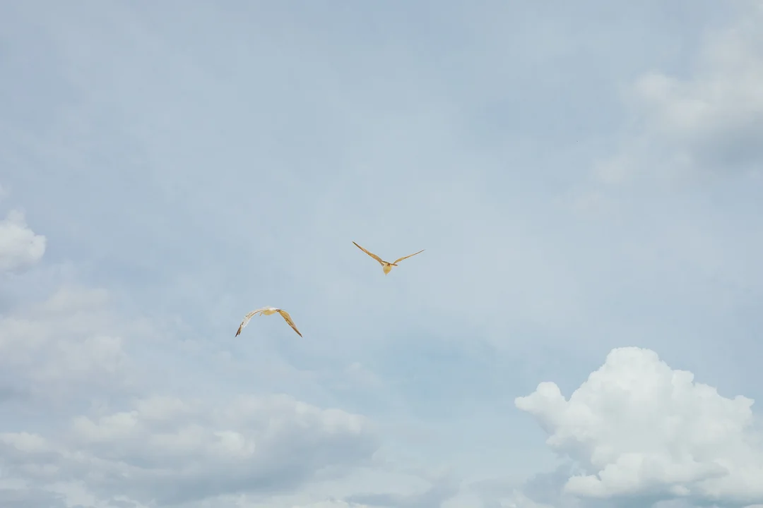 20190727-1R9A6895.jpg