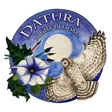 datura.jpeg
